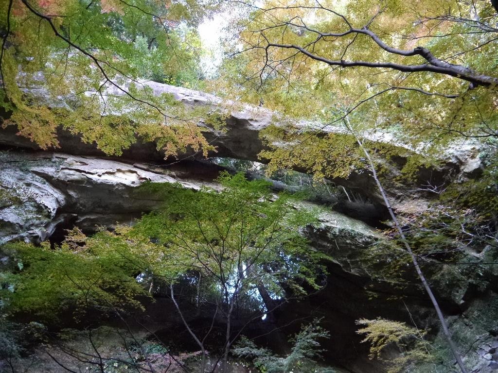 🏯 암교산 어교관음사(세쿄잔 오하시칸논지) 이미지 6